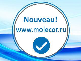 Molecor renouvelle son site web en russe avec un design plus amical