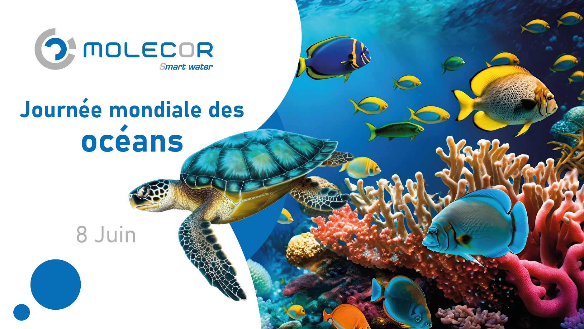 oceanos
