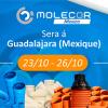 Molecor expose au 27ème Congrès National et International de l’Association Mexicaine de l’Hydraulique (AMH)