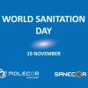 World Sanitation Day. Molecor's purpose: to improve people's quality of life by making affordable water available to them.