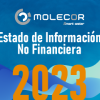 Estado de informacion no financiera 2023