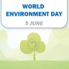 Beating plastic pollution: Molecor reinforces its commitment on World Environment Day