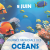 Engagement envers les océans : Molecor et OCS œuvrent pour éviter la perte de microplastiques