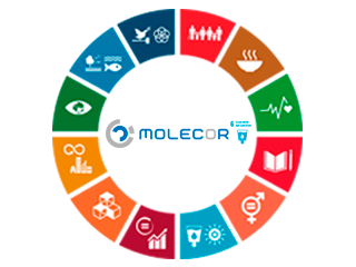 La importancia de la accesibilidad al agua para Molecor La importancia de la accesibilidad al agua para Molecor