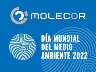 Día Internacional del Medio Ambiente. Redes más amables y respetuosas con el medioambiente Día Internacional del Medio Ambiente. Redes más amables y respetuosas con el medioambiente