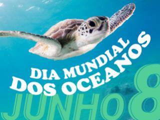 A Molecor continua a contribuir para a redução da poluição dos oceanos devido à presença de microplásticos