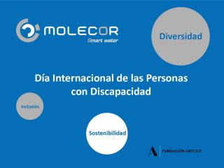 Molecor colabora en el Día Internacional de las Personas con Discapacidad Molecor colabora en el Día Internacional de las Personas con Discapacidad
