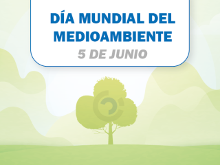 Sin contaminación por plásticos: Molecor refuerza su compromiso en el Día del Medio Ambiente
