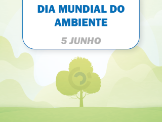 Sem poluição por plásticos: a Molecor reforça o seu compromisso no Dia Mundial do Ambiente