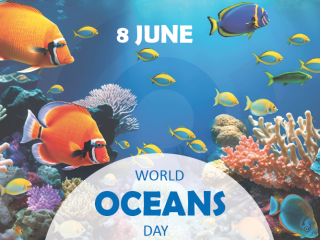 Commitment to the oceans: Molecor and OCS working together to prevent microplastic release