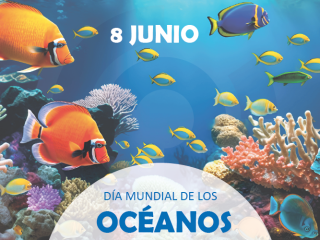 Compromiso con los océanos: Molecor y OCS trabajando por evitar la pérdida de microplásticos