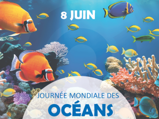 Engagement envers les océans : Molecor et OCS œuvrent pour éviter la perte de microplastiques Engagement envers les océans : Molecor et OCS œuvrent pour éviter la perte de microplastiques