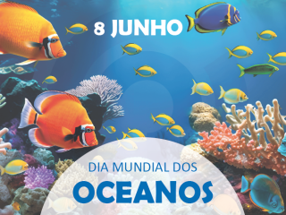 Compromisso com os oceanos: a Molecor e OCS trabalham por evitar a perda de microplásticos