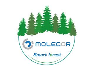 MOLECOR Forest. Contributing to Caring for the Planet through Reforestation