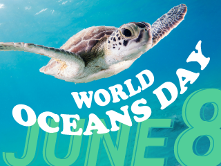 World Oceans Day