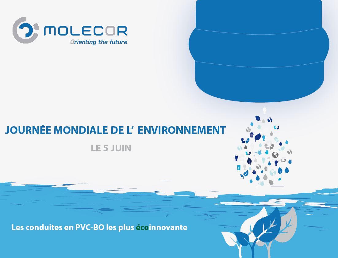 Journée mondiale de l' environnement Journée mondiale de l' environnement