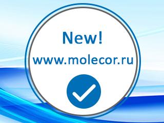 Molecor renews its website in Russian
